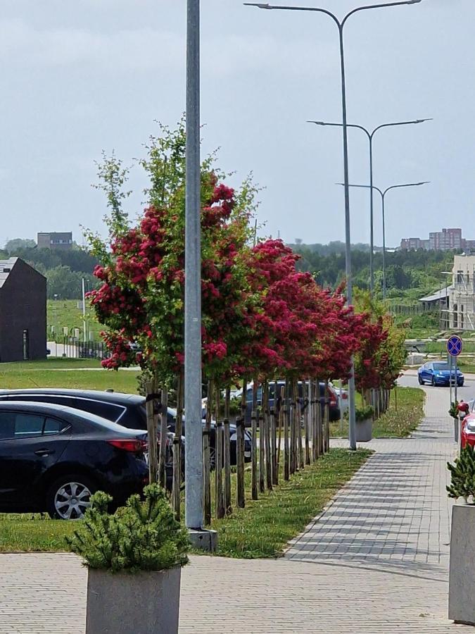Apartamentai Ragaines Self Chec-In Free Parking Klaipėda Eksteriør billede